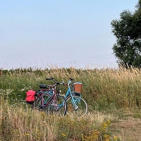 Lwb Ferienwohnung "Auszeit Im Denkmal" Wittenberg Εξωτερικό φωτογραφία